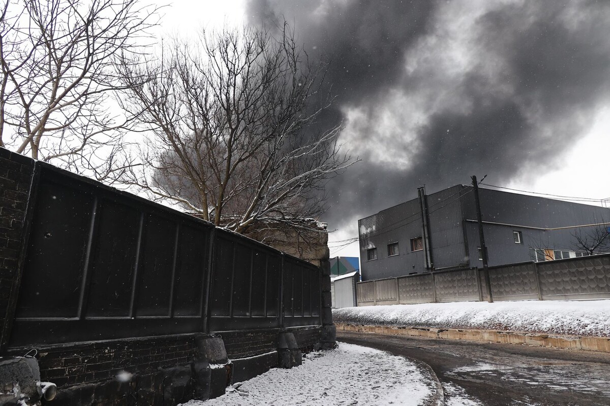     / Источник: © Global Look Press