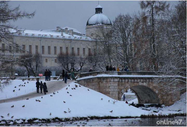 фото: Валентин Илюшин/Online47