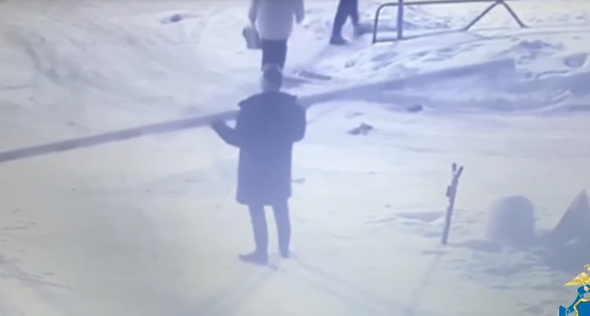    Скриншот из видео МВД по Коми