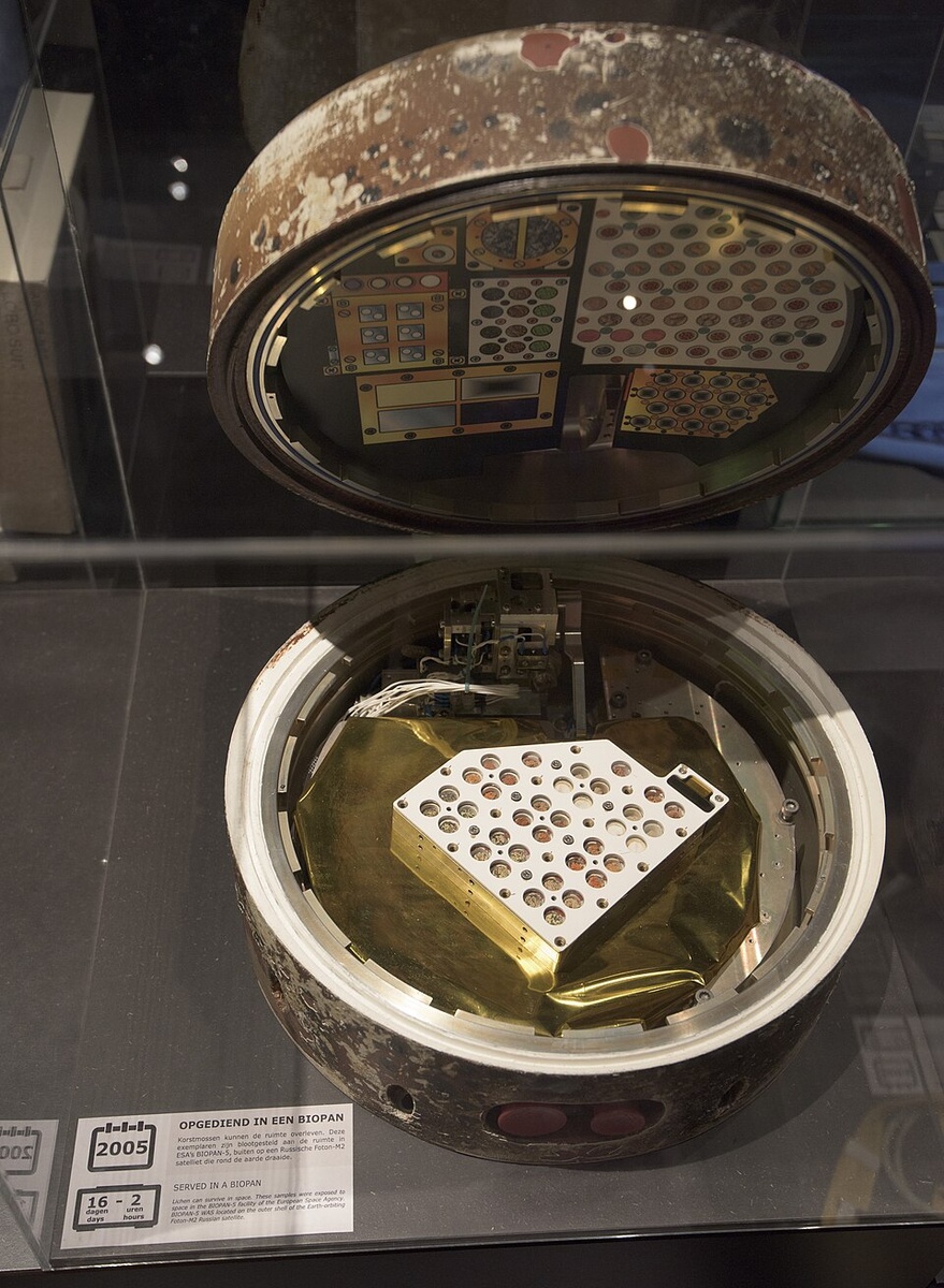 Капсула с микроскопическими космонавтами. 