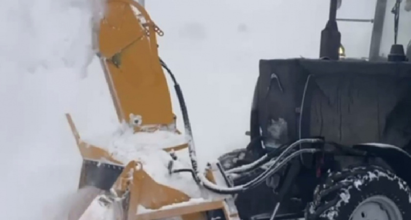    Скриншот видео пресс-службы администрации Владимира