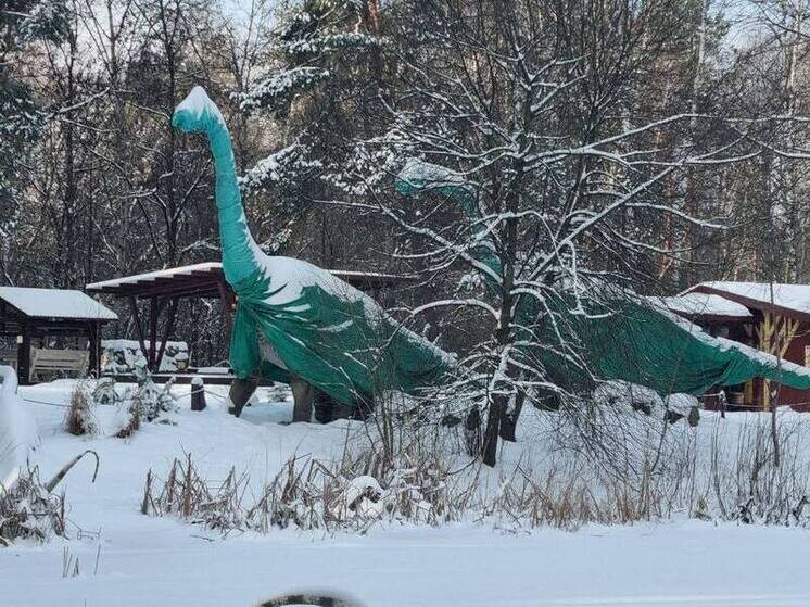     Заснеженный мезозой: зоопарк Белгорода показал, как зимуют динозавры, фото: скриншот со страницы vk.com/belzoo31