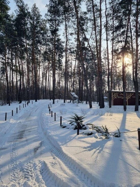     фото: t.me/belzoo