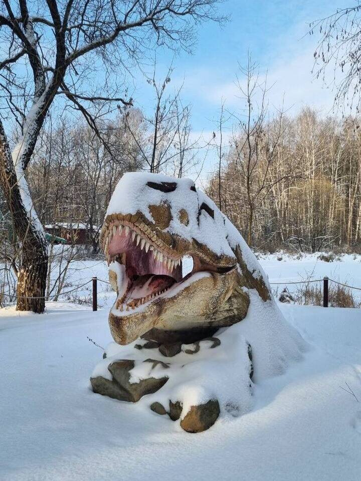     фото: t.me/belzoo