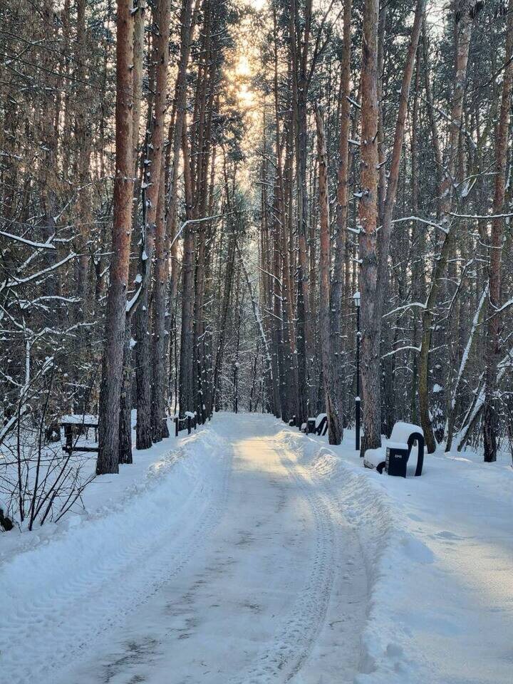     фото: t.me/belzoo