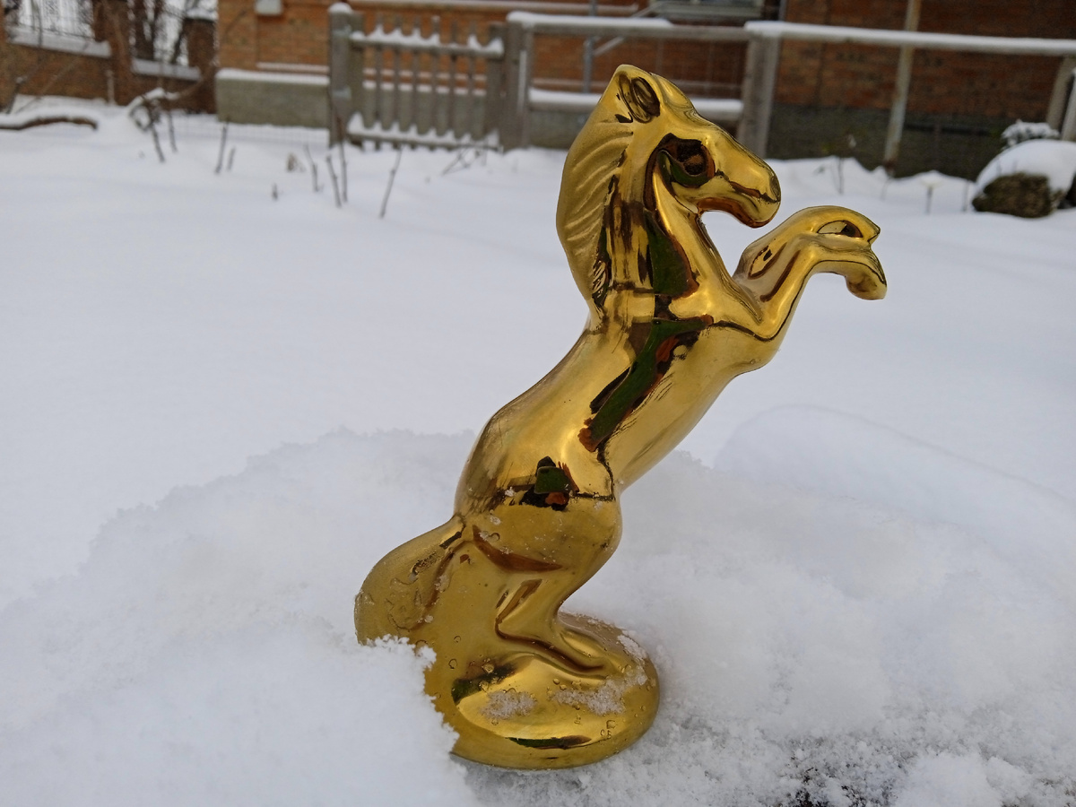 Собственное фото автора. Статуэтка-лошадка в снегу во дворе моём. 15 января 2026 г.