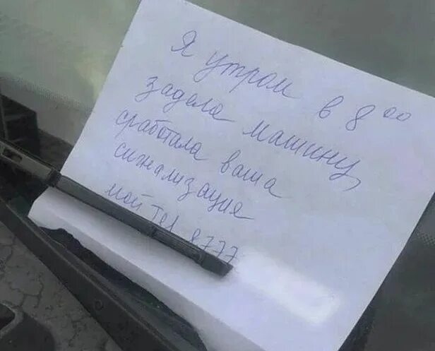 Фото из открытых источников 