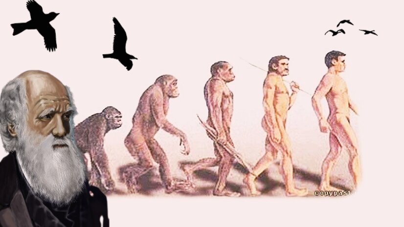 Красиво идут...