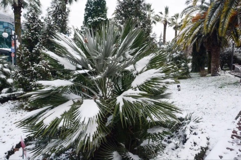 Фото: Стас Павлов. Этот район  немного выше моего.