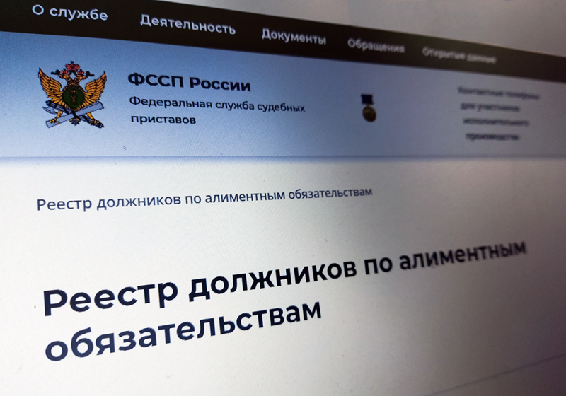 Источник фото: fssp.gov.ru