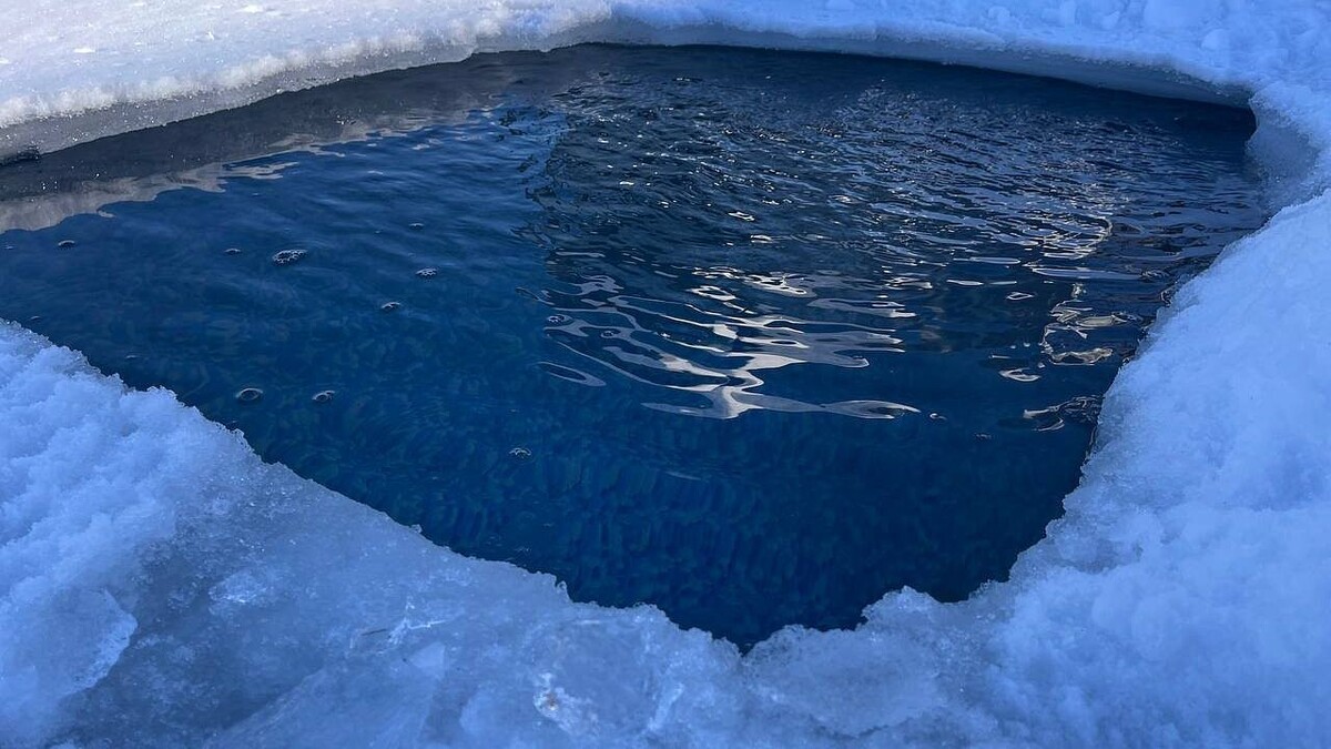    Фото: телеканал «Краснодар»