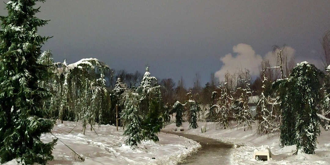 🌜✨Парк Галицкого/Снежная таинственная поляна парка Облаков после полуночи✨