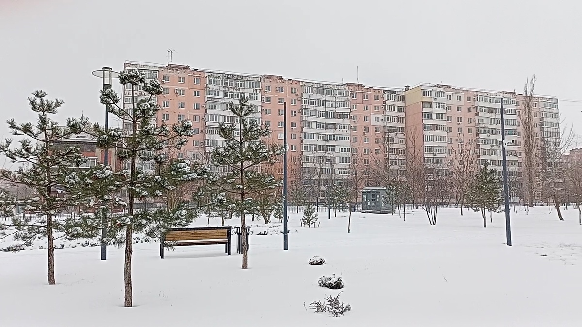 Город Таганрог, Ростовская область.15.01.2026 года. Фото автора.