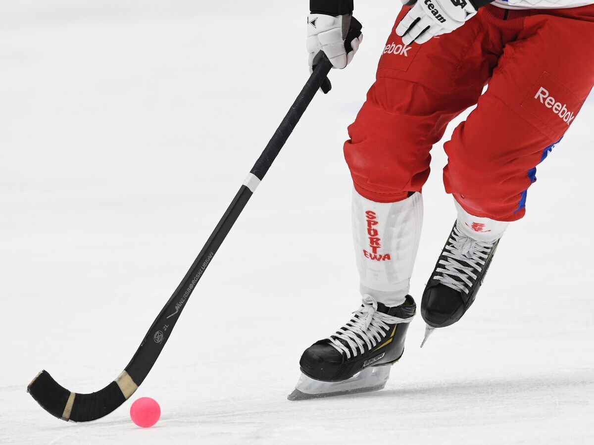    Хоккей с мячом | © РИА Новости / Александр Кряжев