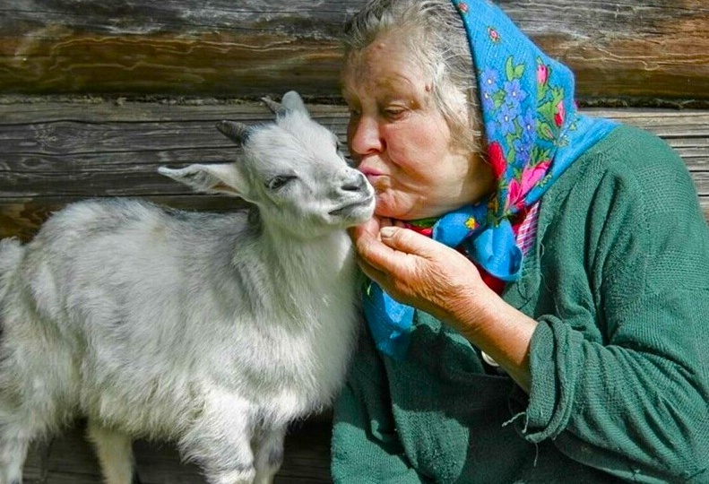 Чужие как свои