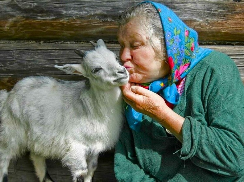 Из свободных источников