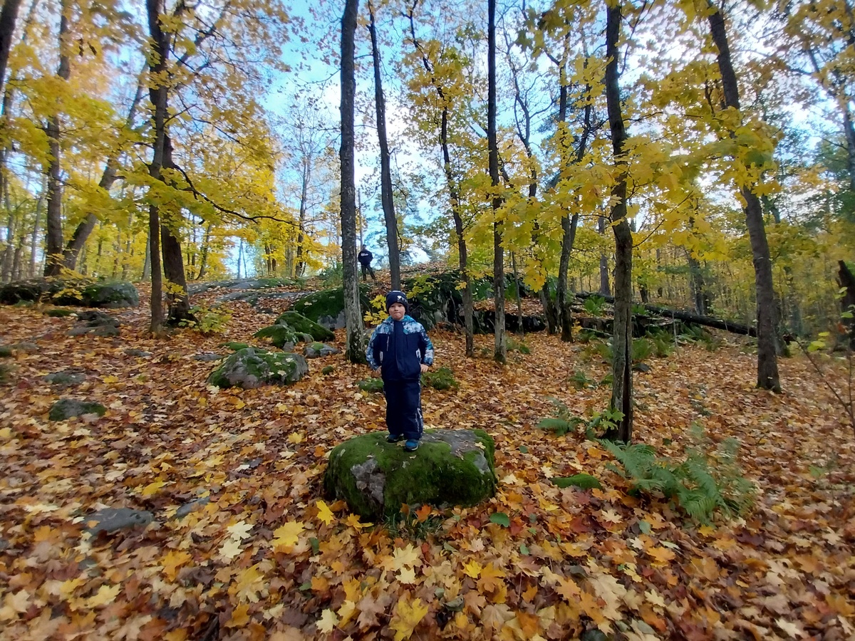 Тут можно увидеть остатки старых фундаментов, а самому младшему местные металлоискатели даже подарили мелкую ржавую финскую манетку, найденную на пляже...
