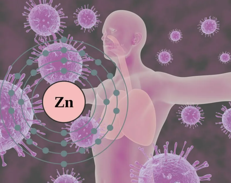 Изображение из ЯндексКартинок