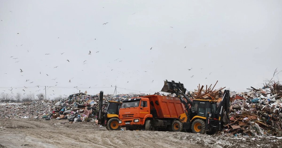 Фото: Администрация Краснодарского края
