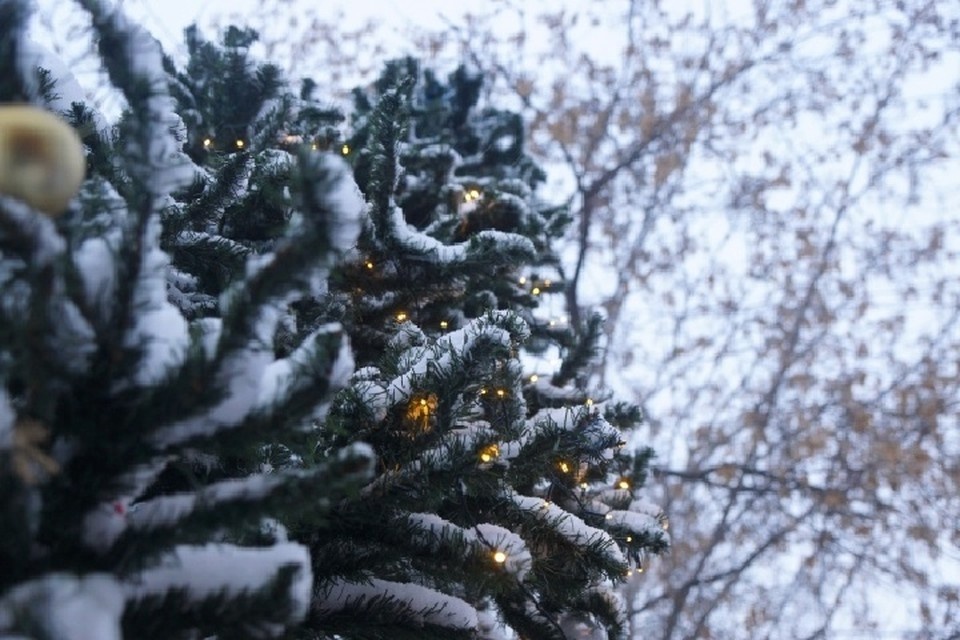    Васильев день - первый день Нового года, его отмечают 14 января (1 января по старому стилю) Алексей БУЛАТОВ