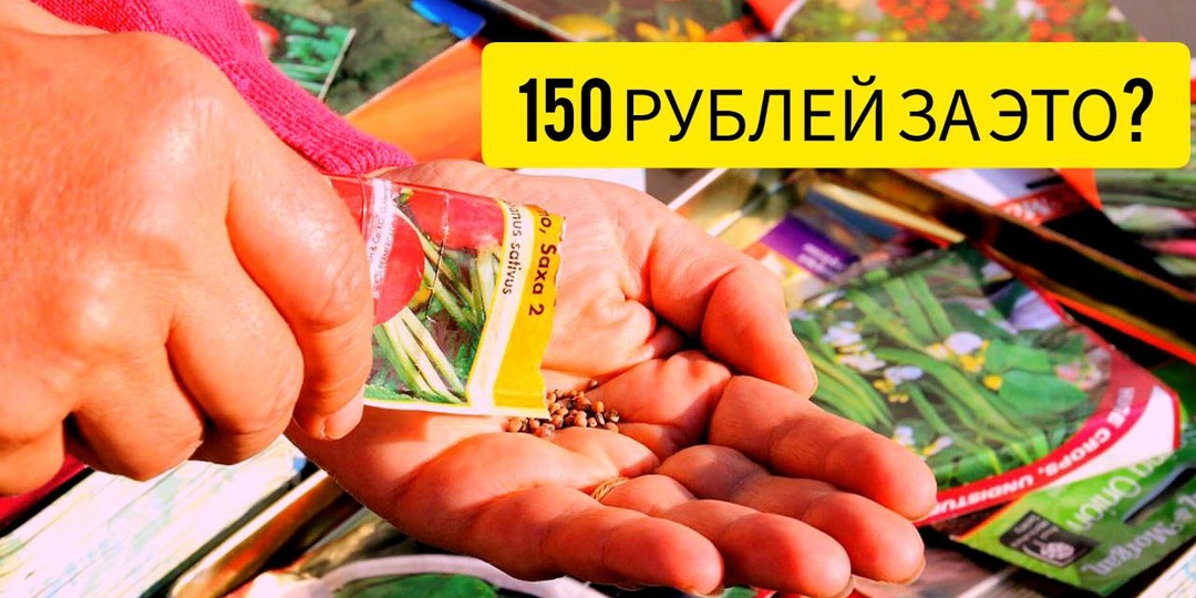 Вскрыл 3 дорогих пакетика F1, а внутри - пыль. Показываю производителей, которые "экономят" на нас в 2026 году