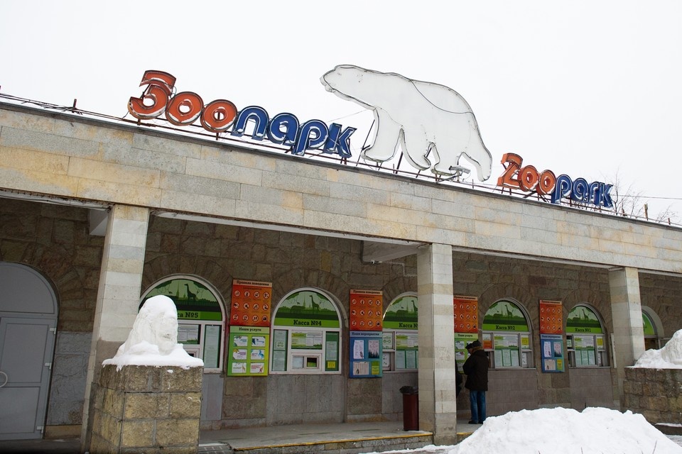    Льготный вход в Ленинградский зоопарк можно будет подтвердить через МАХ. Фото: архив "КП"