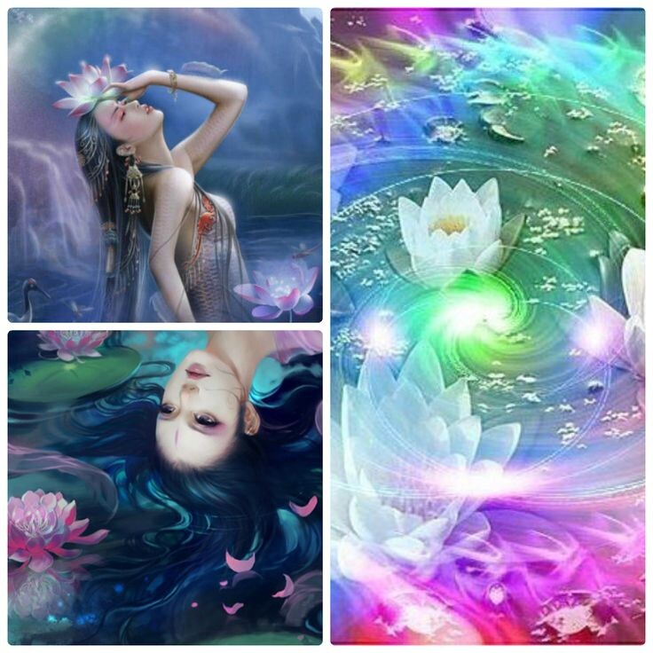 28-е лунные сутки - символ лотос