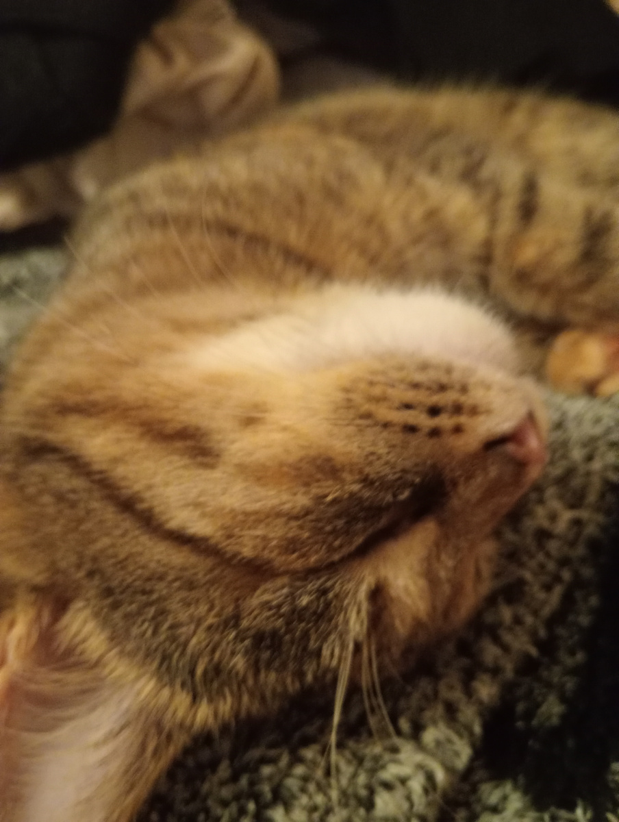 Наша любимая принцесса!