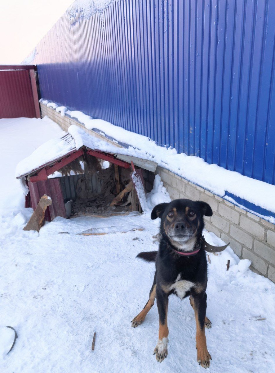 Было. Фото из архива автора