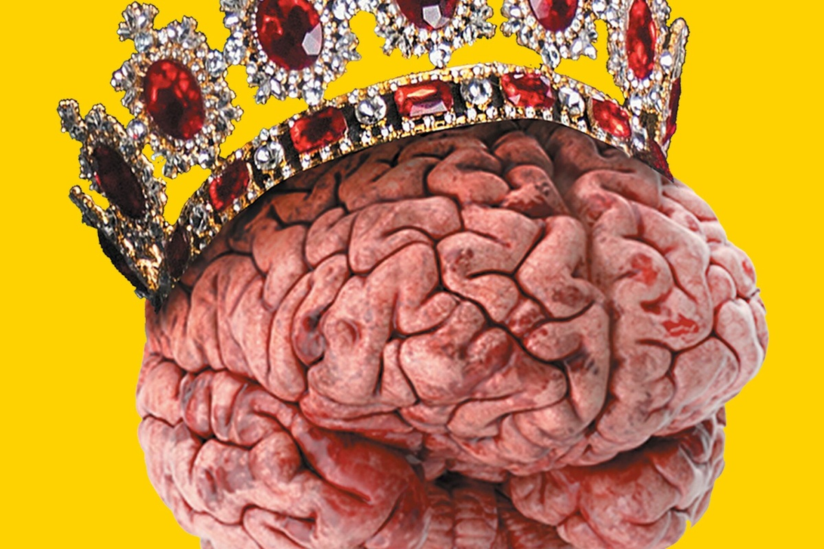     Мода или польза? Что наука говорит о креатине, умных девайсах и играх для мозга