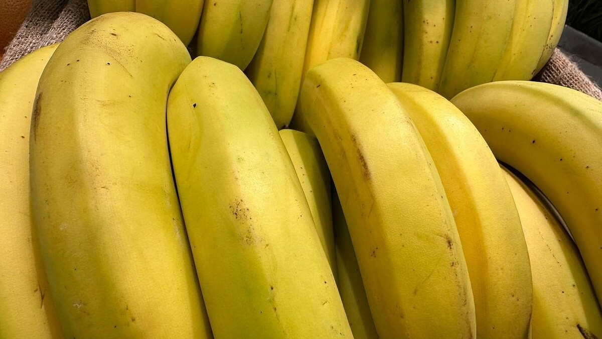    Фото: телеканал «Краснодар»