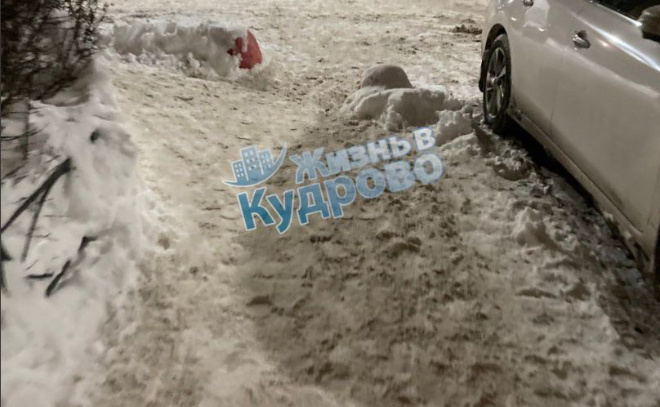    © Telegram-канал «Жизнь в Кудрово»