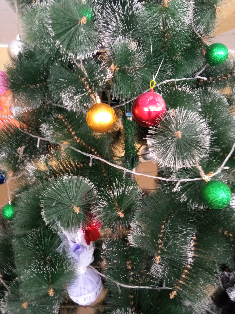 Фото автора.