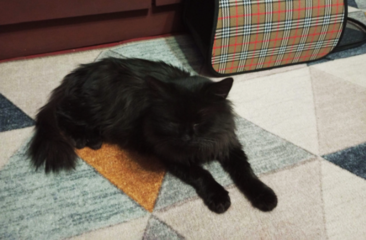 день сегодняшний 