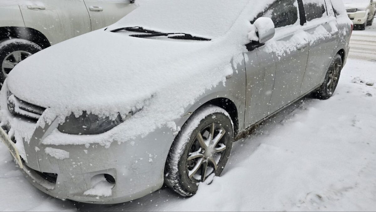    Снег, погода, зима Наталья Краснова