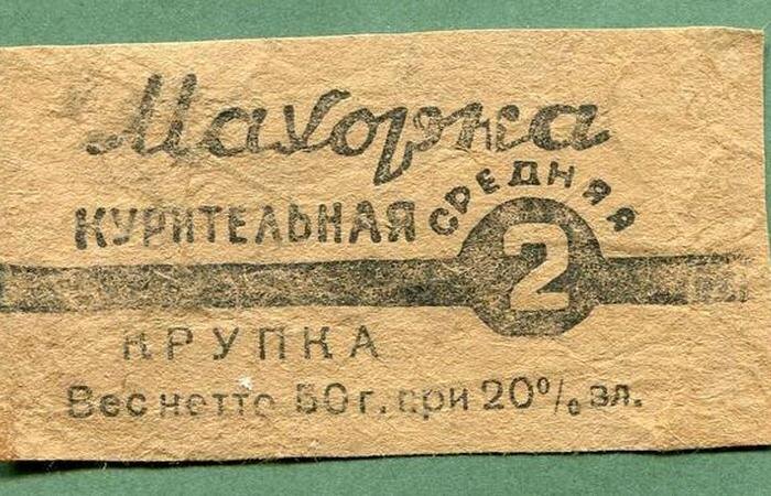 Выращивают в разных странах. /Фото: aloidak.ru.