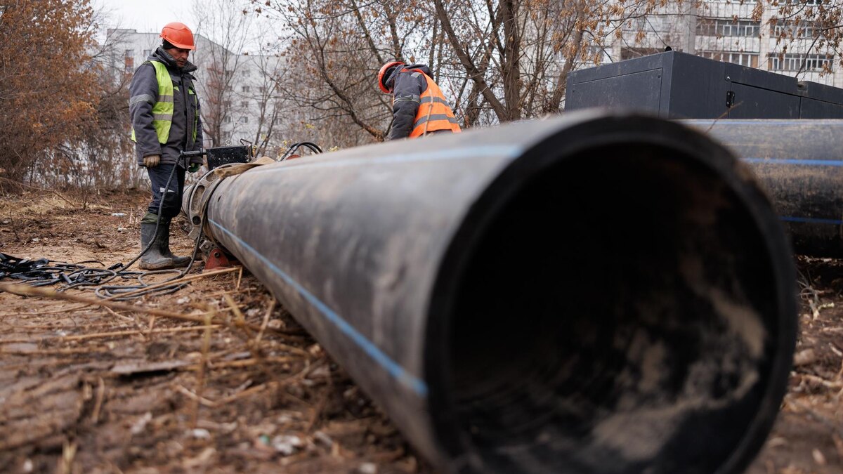    Фото: Sergey Elagin/Business Online/globallookpress.com