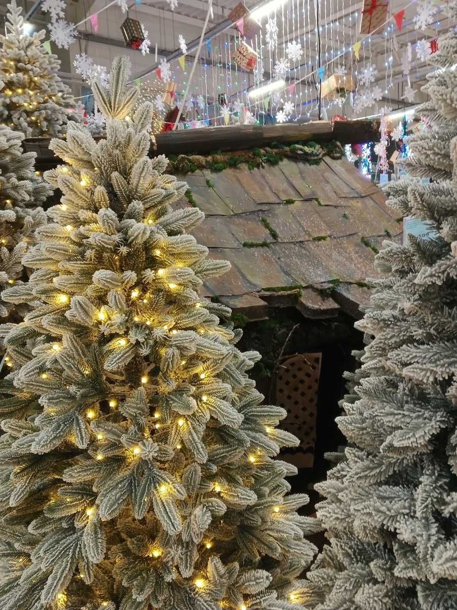 А вот и избушка на курьих ножках. Фото Галины Малышевой.