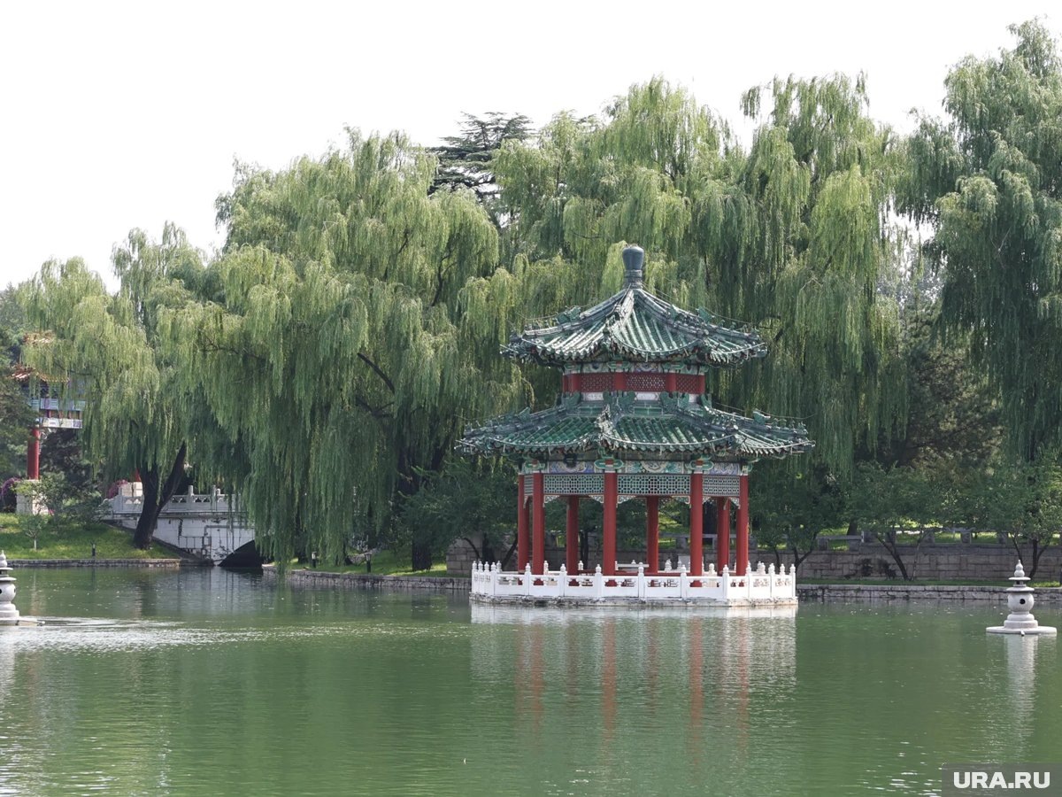     Российских туристов в Китае стало больше на фоне отмены визы