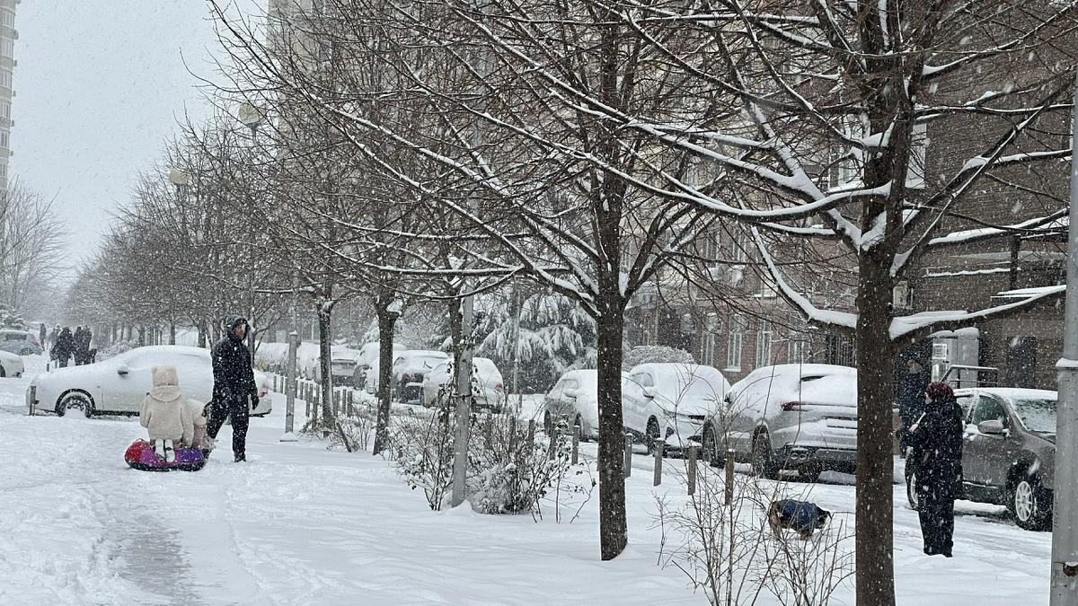    Фото: телеканал «Краснодар»