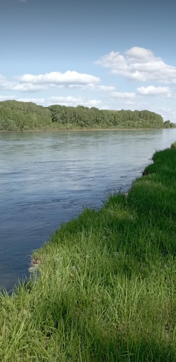 Река Уба. Восточный Казахстан.