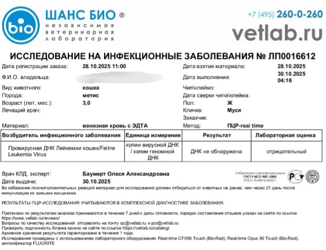 С двумя первыми показателями (на РНК и ДНК) мне всё было понятно — отрицательно, вирус не обнаружен. А вот третий настораживал: 