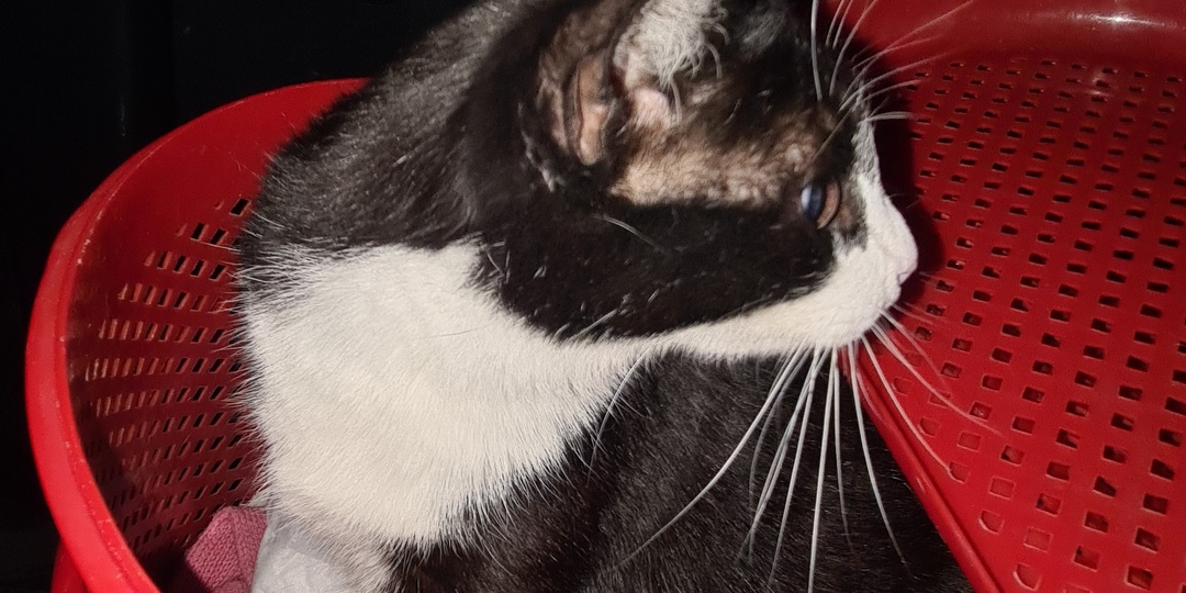 Поездка Муси в Москву на сдачу анализов — что показали результаты?