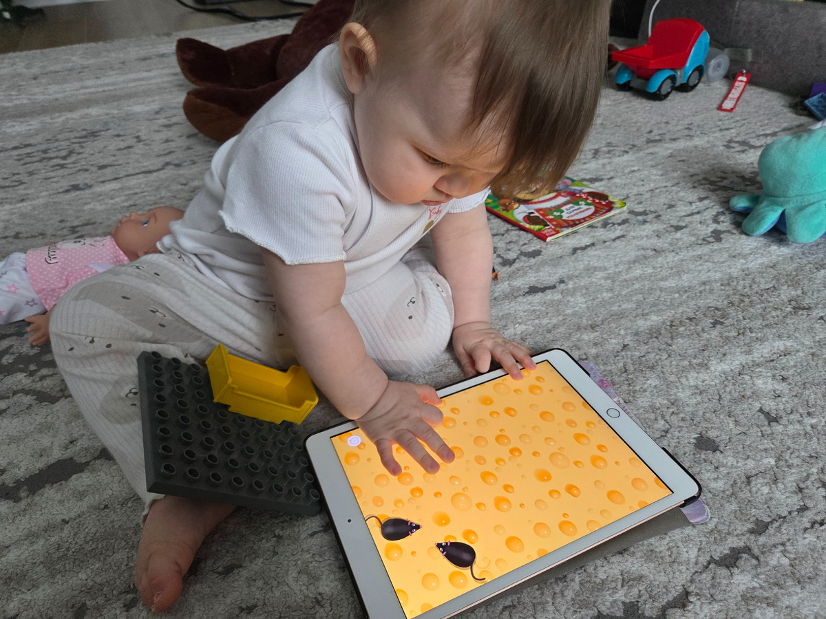 Игры для кошек, отлично подходят малышам