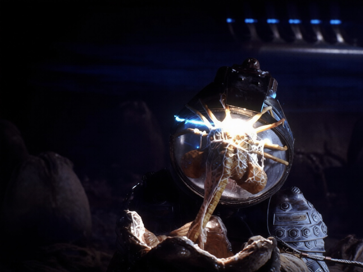 изображение из открытых источников в интернете