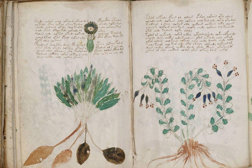    Фото: Logic Images / Legion-Media