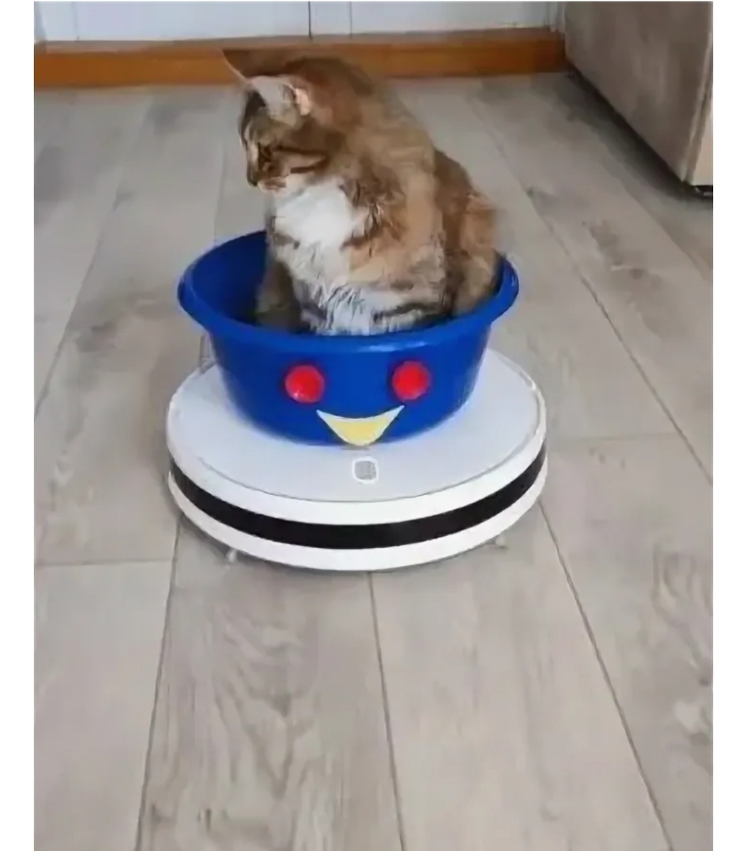 Скрин с Яндекс картинок 