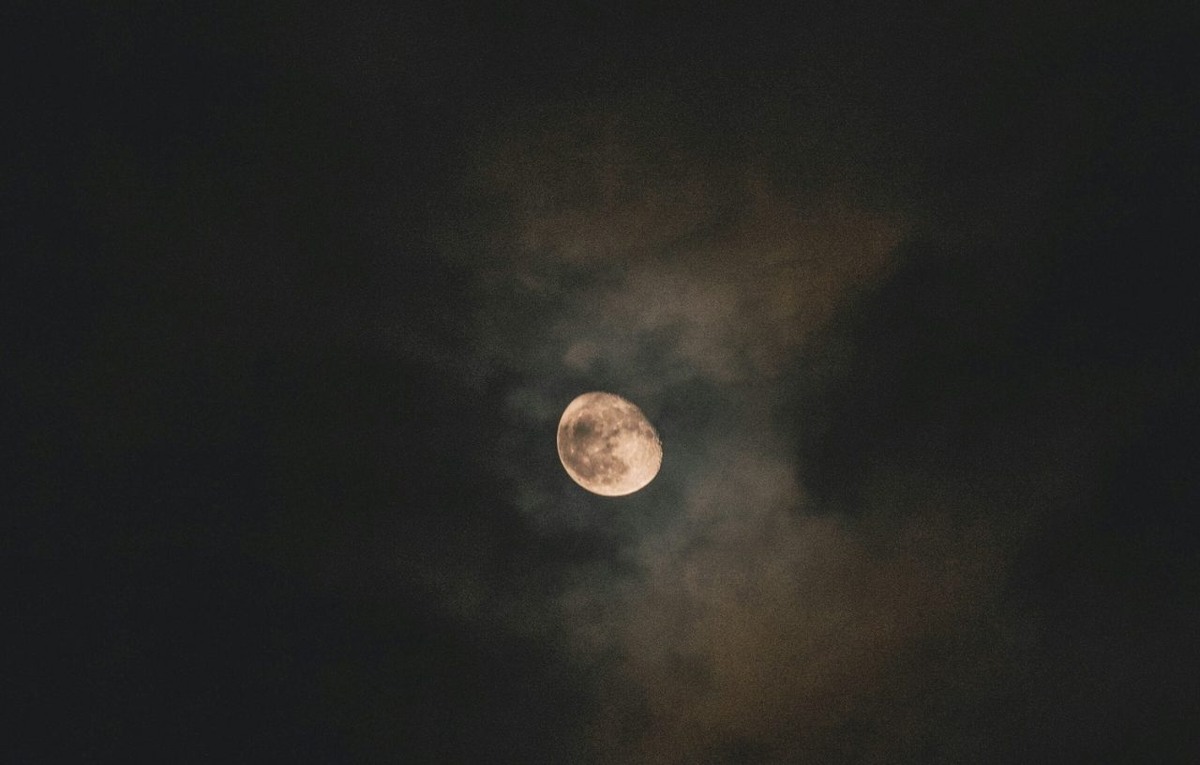     Фото: Виталий ГАРКУША