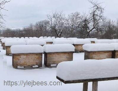Пасека после снегопада
