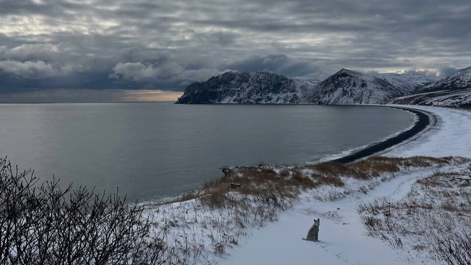    Остров Спафарьева. Источник: предоставлено "Толку"